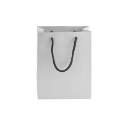 230gsm Matte Gift Bag - 23cm Silver Front